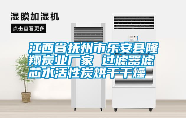 江西省撫州市樂安縣隆翔炭業(yè)廠家 過濾器濾芯水活性炭烘干干燥