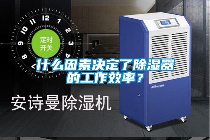 什么因素決定了除濕器的工作效率？