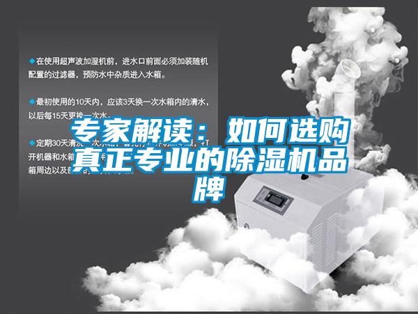 專家解讀：如何選購真正專業(yè)的除濕機品牌