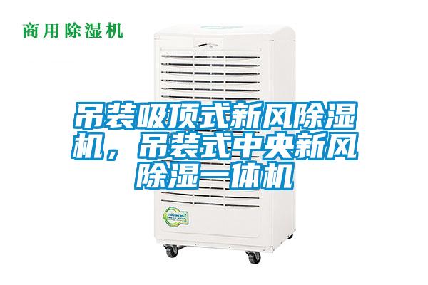 吊裝吸頂式新風除濕機，吊裝式中央新風除濕一體機