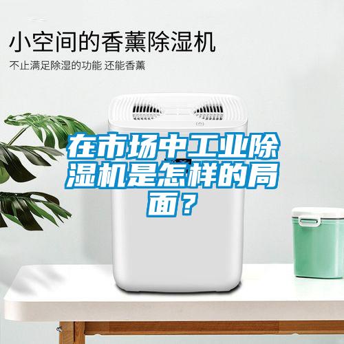 在市場中工業(yè)除濕機是怎樣的局面？