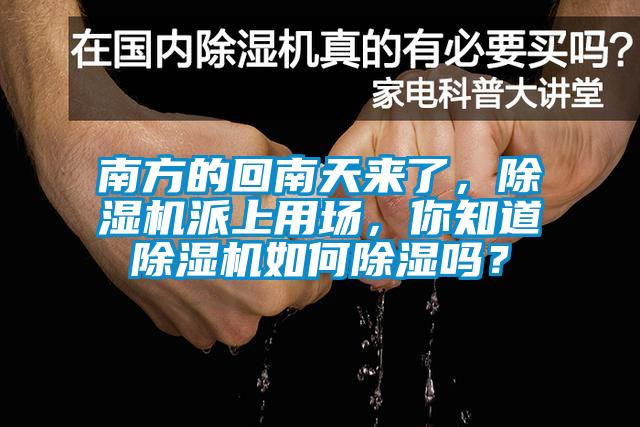 南方的回南天來了，除濕機派上用場，你知道除濕機如何除濕嗎？