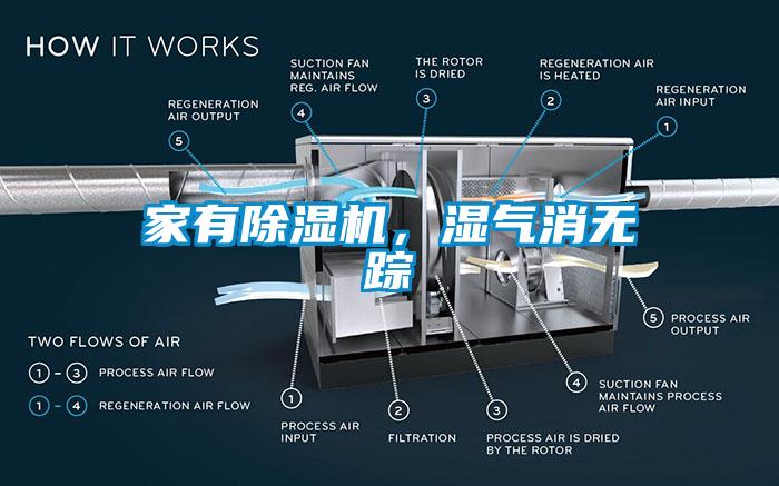 家有除濕機，濕氣消無蹤