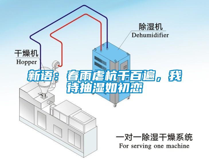 新語(yǔ)：春雨虐杭千百遍，我待抽濕如初戀