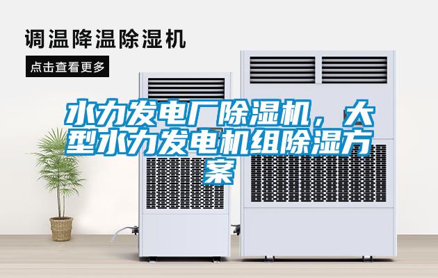 水力發(fā)電廠除濕機(jī)，大型水力發(fā)電機(jī)組除濕方案