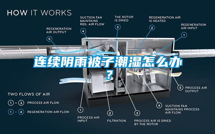 連續(xù)陰雨被子潮濕怎么辦？