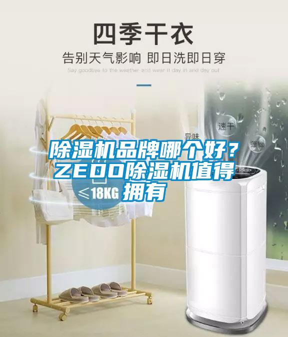 除濕機(jī)品牌哪個(gè)好？ZEDO除濕機(jī)值得擁有