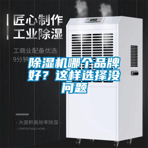 除濕機哪個品牌好？這樣選擇沒問題