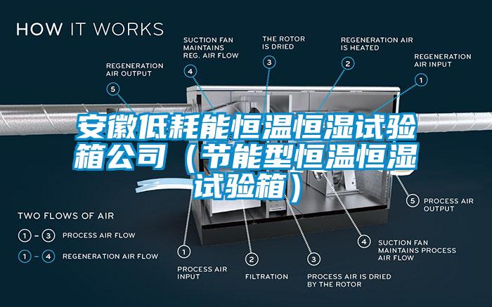 安徽低耗能恒溫恒濕試驗箱公司（節(jié)能型恒溫恒濕試驗箱）