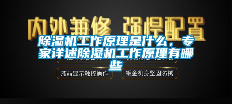 除濕機(jī)工作原理是什么，專家詳述除濕機(jī)工作原理有哪些