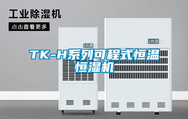 TK-H系列可程式恒溫恒濕機