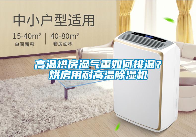 高溫烘房濕氣重如何排濕？烘房用耐高溫除濕機(jī)