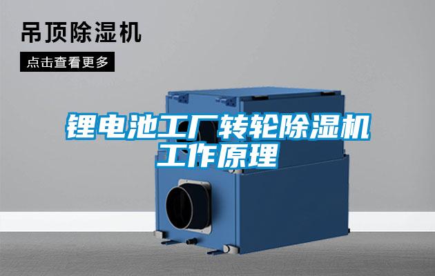 鋰電池工廠轉(zhuǎn)輪除濕機(jī)工作原理