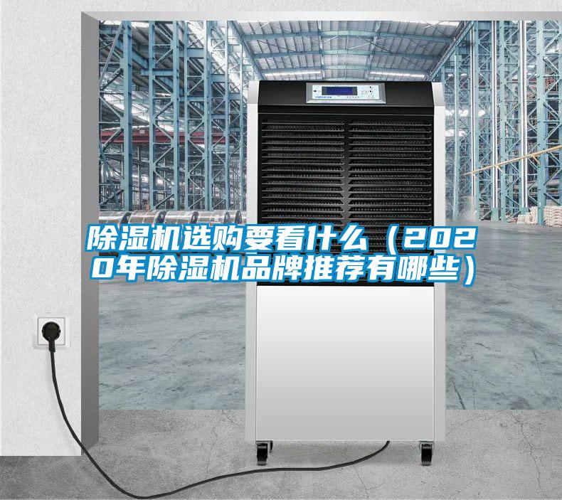 除濕機選購要看什么（2020年除濕機品牌推薦有哪些）