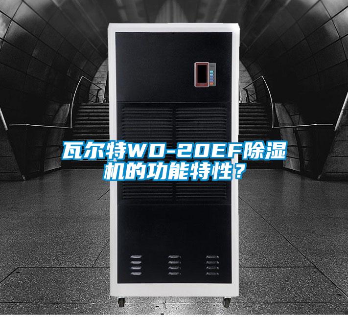 瓦爾特WD-20EF除濕機的功能特性？