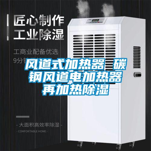 風(fēng)道式加熱器 碳鋼風(fēng)道電加熱器再加熱除濕