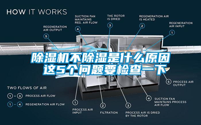 除濕機(jī)不除濕是什么原因 這5個(gè)問題要檢查一下