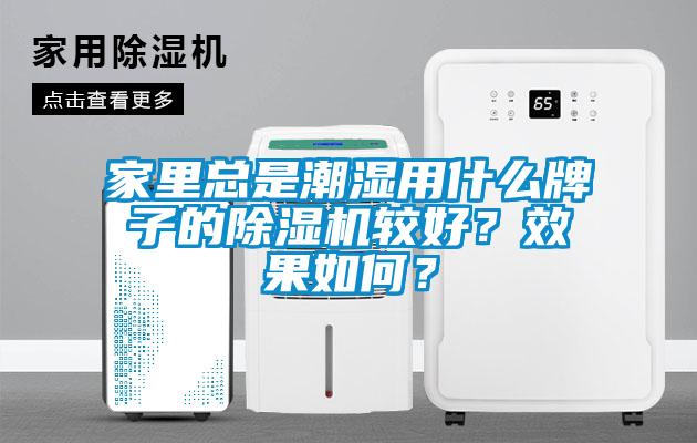 家里總是潮濕用什么牌子的除濕機較好？效果如何？