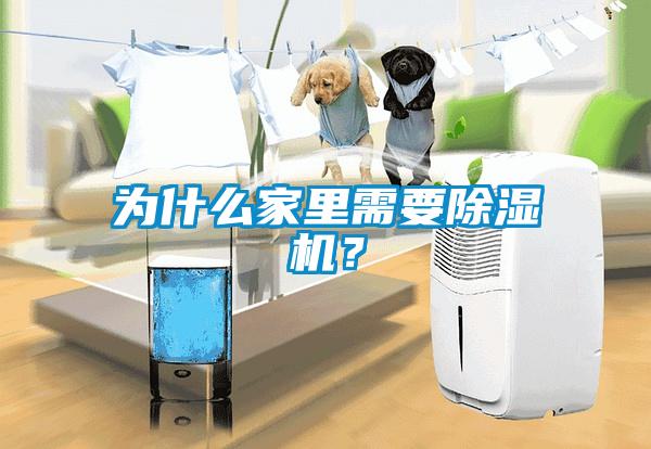 為什么家里需要除濕機(jī)？