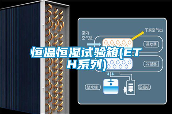 恒溫恒濕試驗(yàn)箱(ETH系列)