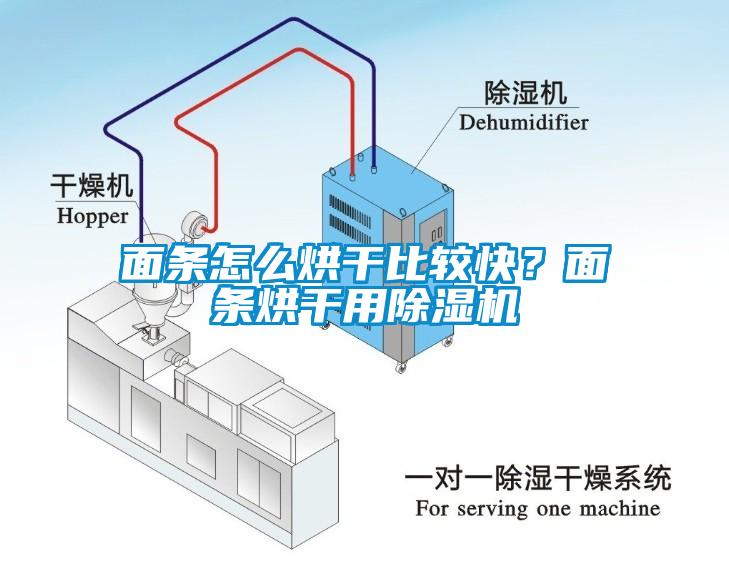 面條怎么烘干比較快？面條烘干用除濕機(jī)