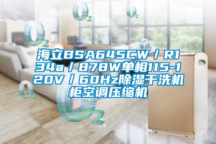 海立BSA645CW／R134a／878W單相115-120V／60Hz除濕干洗機(jī)柜空調(diào)壓縮機(jī)