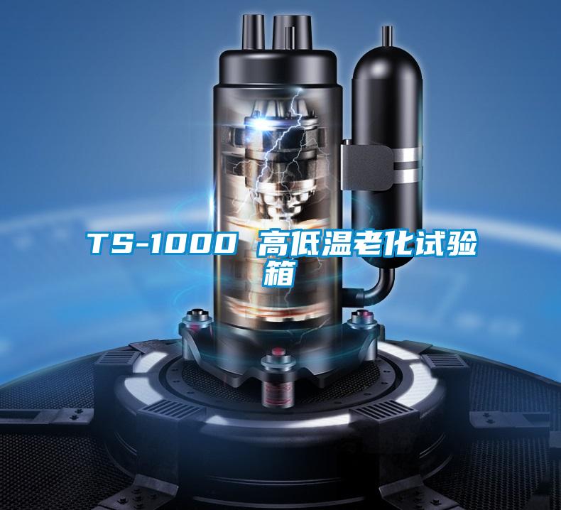 TS-1000 高低溫老化試驗(yàn)箱