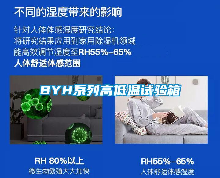 BYH系列高低溫試驗箱