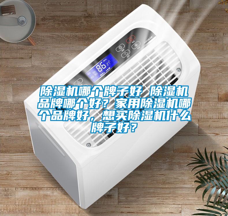 除濕機哪個牌子好 除濕機品牌哪個好？家用除濕機哪個品牌好，想買除濕機什么牌子好？