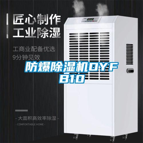 防爆除濕機(jī)DYFB10