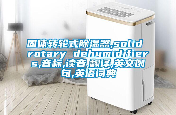 固體轉輪式除濕器,solid rotary dehumidifiers,音標,讀音,翻譯,英文例句,英語詞典