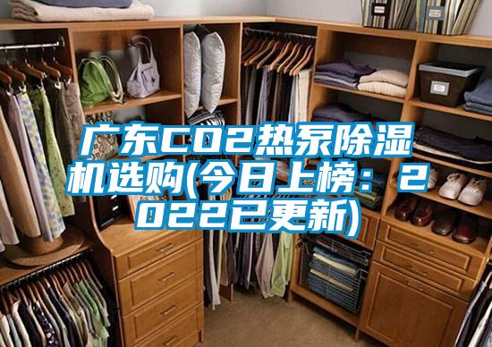 廣東CO2熱泵除濕機選購(今日上榜：2022已更新)