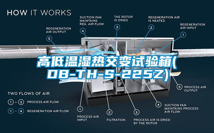 高低溫濕熱交變試驗(yàn)箱(DB-TH-S-225Z)