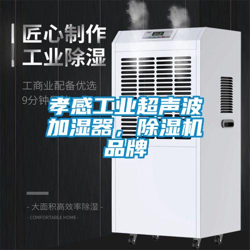 孝感工業(yè)超聲波加濕器，除濕機(jī)品牌