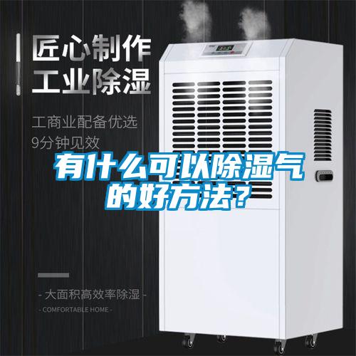 有什么可以除濕氣的好方法？