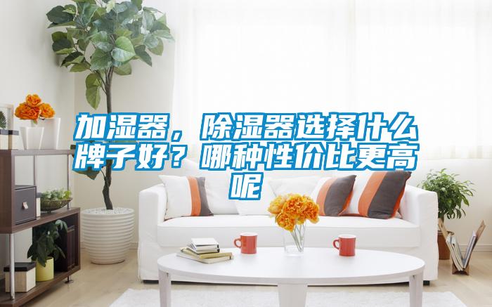 加濕器，除濕器選擇什么牌子好？哪種性價比更高呢