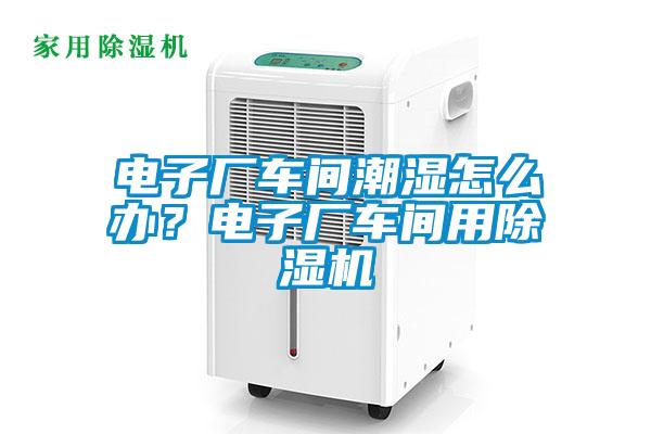 電子廠車間潮濕怎么辦？電子廠車間用除濕機(jī)