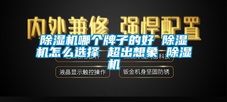 除濕機(jī)哪個(gè)牌子的好 除濕機(jī)怎么選擇 超出想象 除濕機(jī)