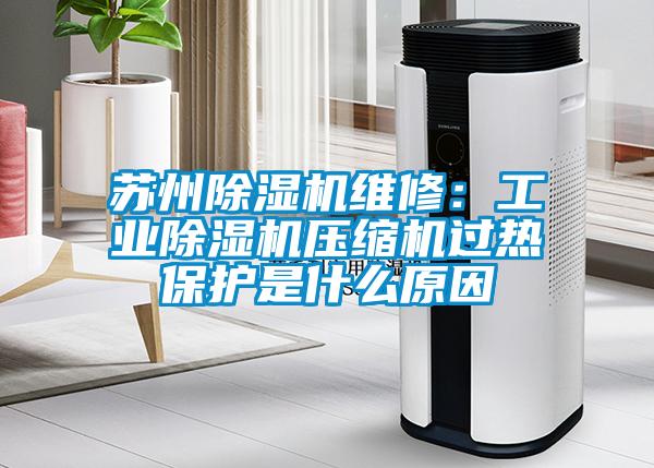 蘇州除濕機維修：工業(yè)除濕機壓縮機過熱保護是什么原因