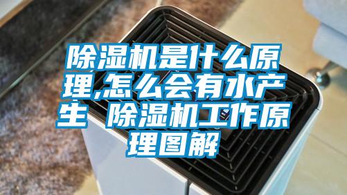 除濕機是什么原理,怎么會有水產(chǎn)生 除濕機工作原理圖解