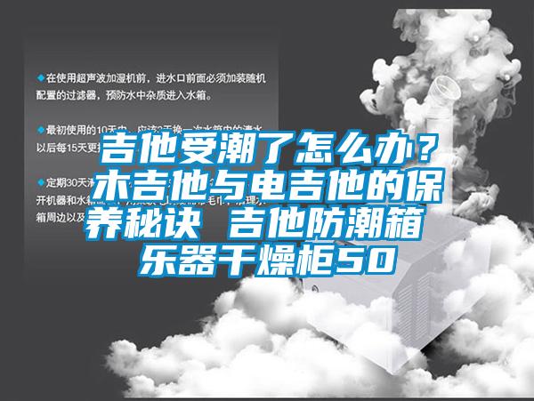 吉他受潮了怎么辦？木吉他與電吉他的保養(yǎng)秘訣 吉他防潮箱 樂器干燥柜50