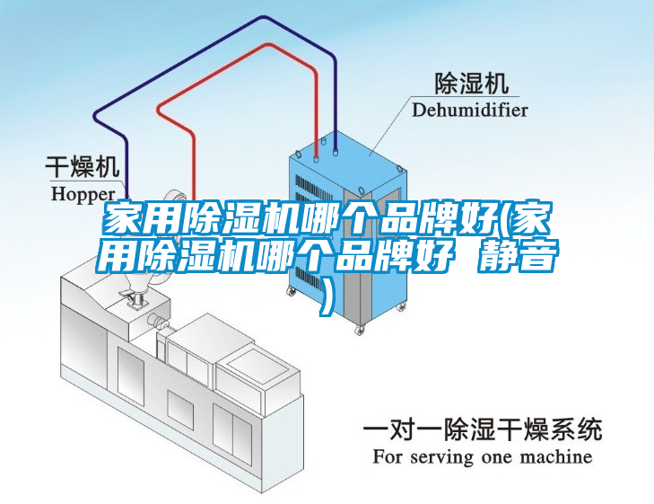 家用除濕機(jī)哪個(gè)品牌好(家用除濕機(jī)哪個(gè)品牌好 靜音)