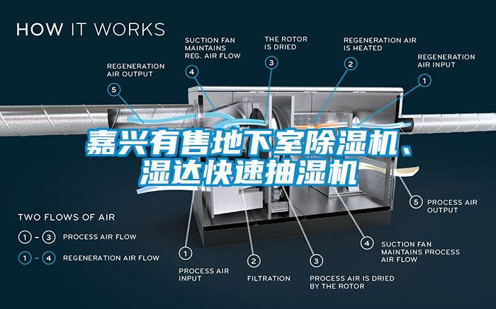 嘉興有售地下室除濕機、濕達快速抽濕機