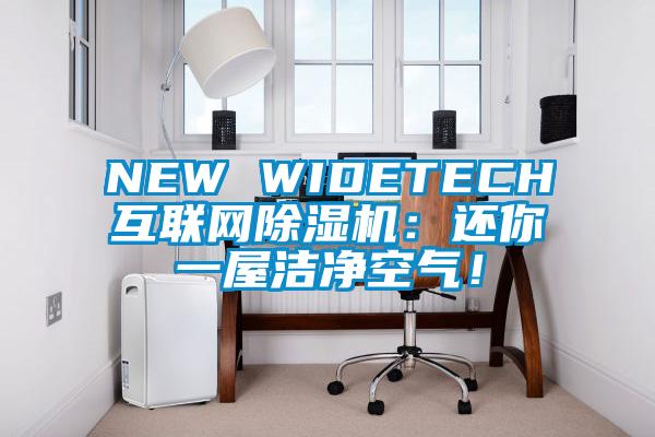 NEW WIDETECH互聯(lián)網(wǎng)除濕機(jī)：還你一屋潔凈空氣！