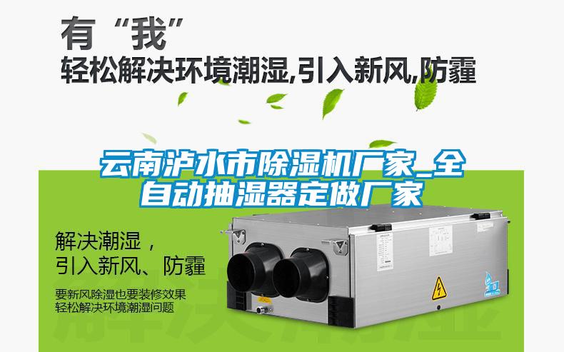 云南瀘水市除濕機廠家_全自動抽濕器定做廠家