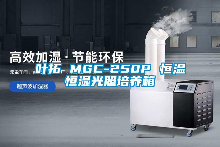 葉拓 MGC-250P 恒溫恒濕光照培養(yǎng)箱