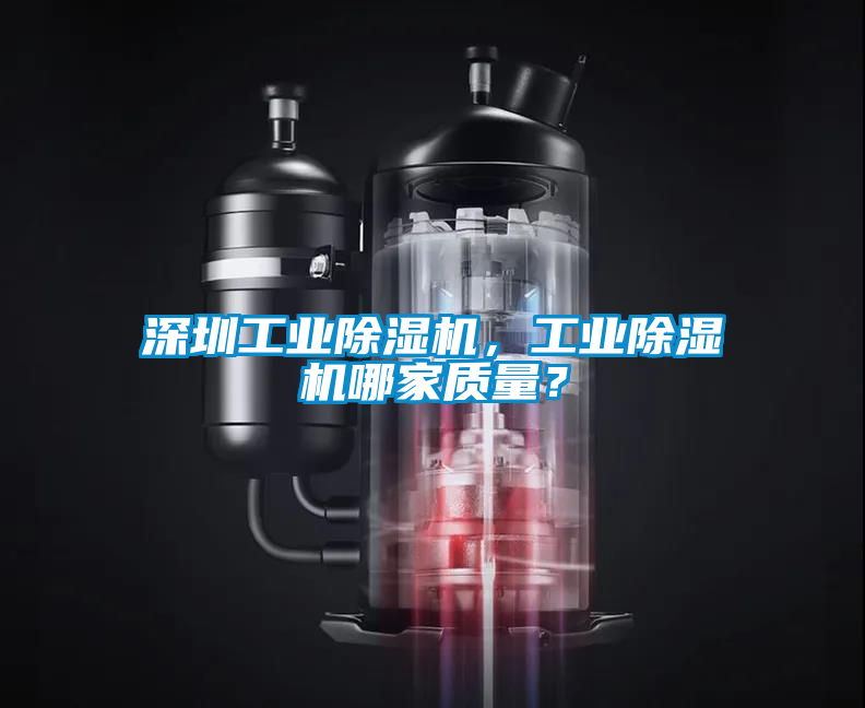 深圳工業(yè)除濕機，工業(yè)除濕機哪家質(zhì)量？