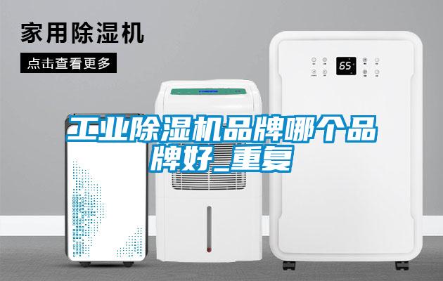 工業(yè)除濕機品牌哪個品牌好_重復