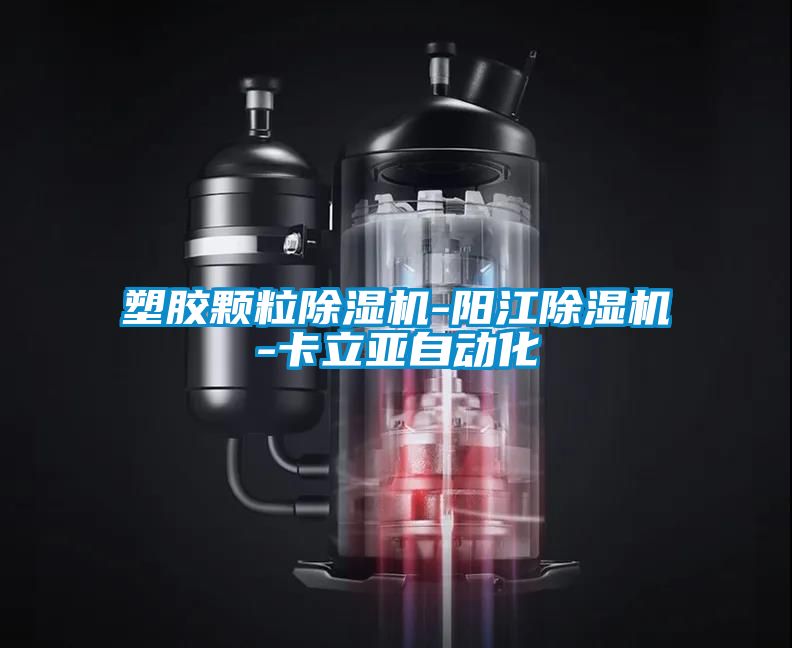 塑膠顆粒除濕機(jī)-陽(yáng)江除濕機(jī)-卡立亞自動(dòng)化