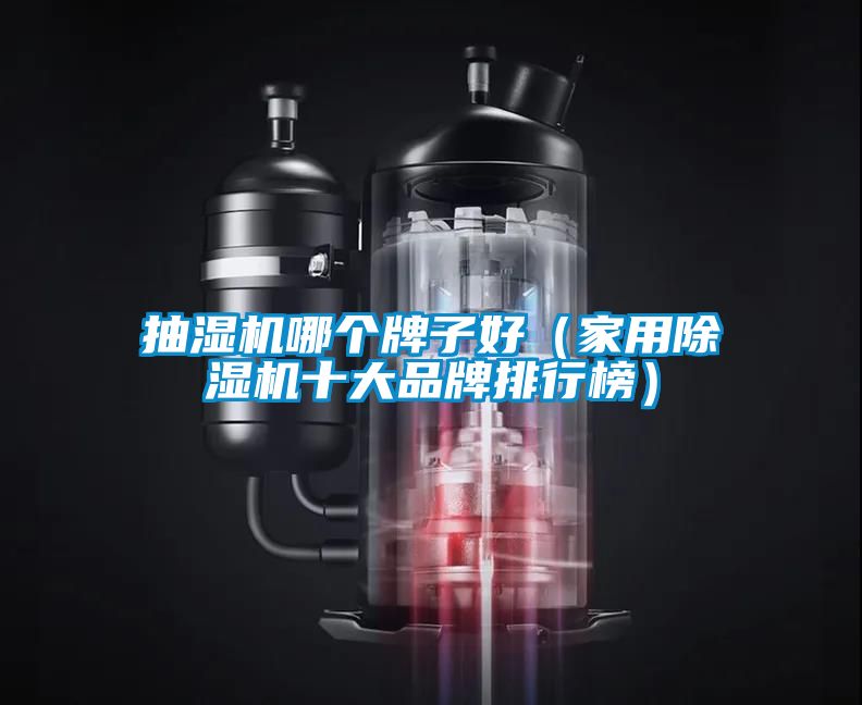 抽濕機(jī)哪個(gè)牌子好（家用除濕機(jī)十大品牌排行榜）